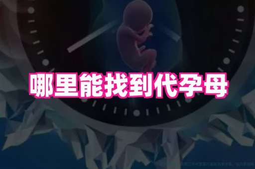福建助孕网 3