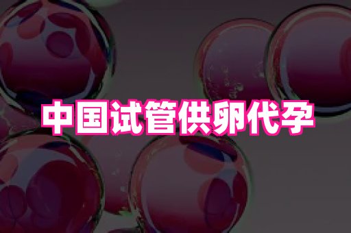 福建助孕网 4